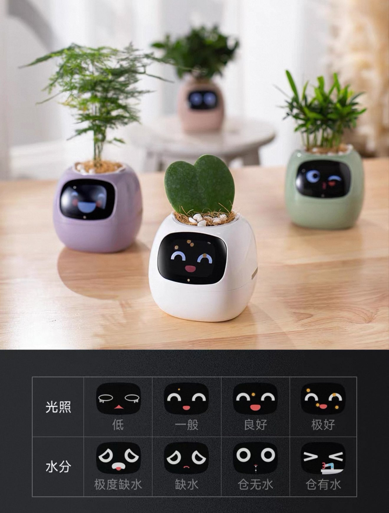 IVY Smart Flower Pot – Emotional Plant Pet Desktop Decor, Cute Electronic Gift for Girlfriend, Birthday & Valentine’s Day